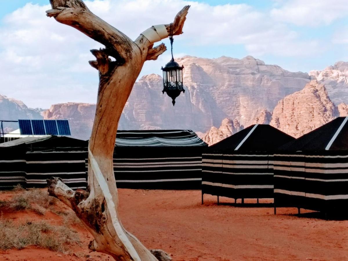 Desert Tree Camp&Tours Wadi Rum Exteriör bild
