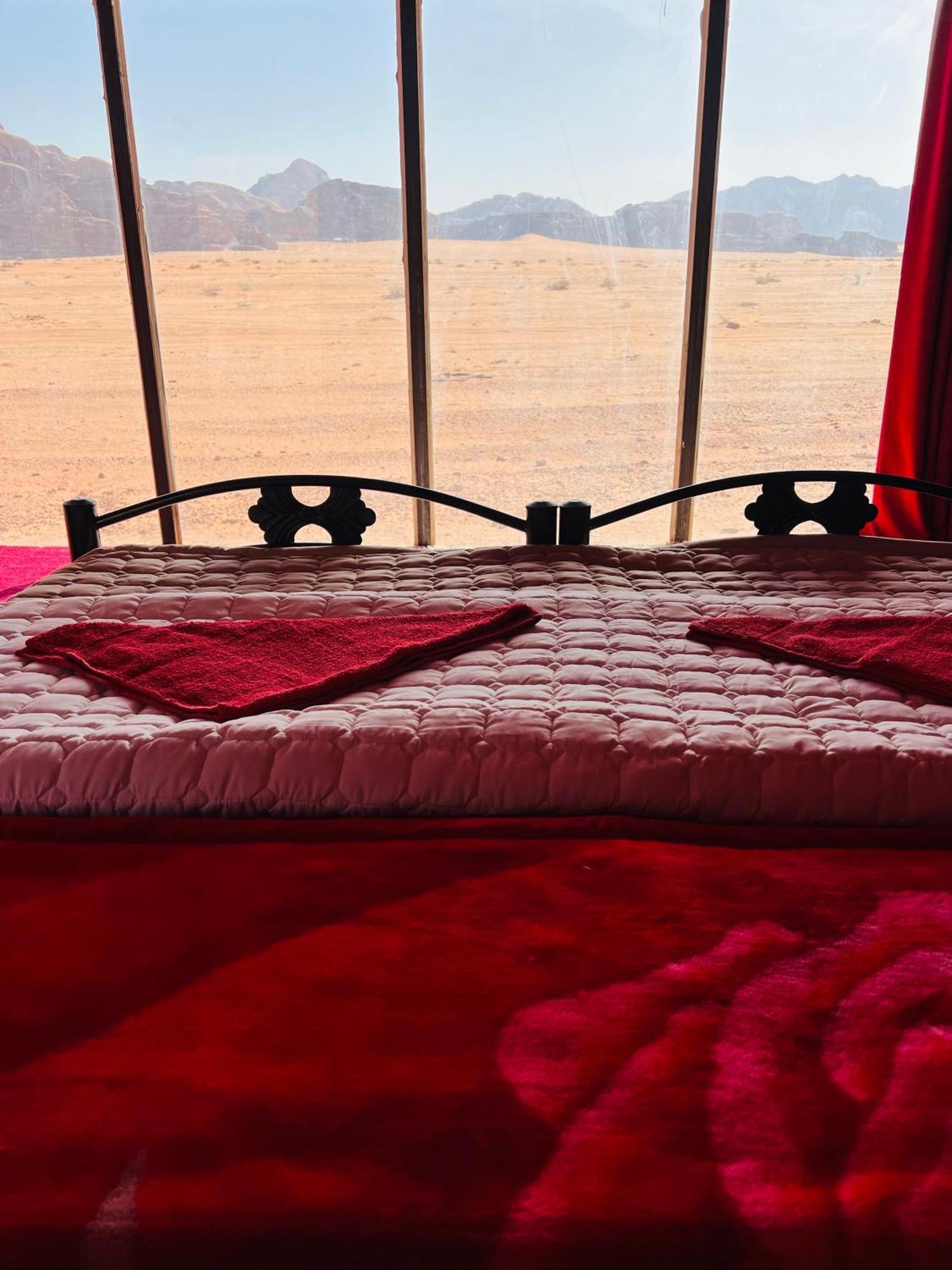 Desert Tree Camp&Tours Wadi Rum Exteriör bild
